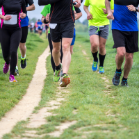 Županijsko prvenstvo osnovnih škola u krosu  