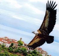Izlet prvi razredi – Cres