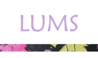 LUMS natjecanje – 3. mjesto